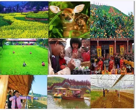 山水林田湖草项目清单表,山水林田湖草项目资金筹措方案