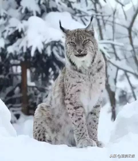 这个冬天邂逅西藏的美好时光 (冬天和爱人邂逅真正的西藏)