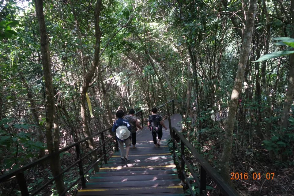海南呀诺达热带雨林,呀诺达热带雨林景区