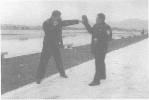 警用防暴棍和匕首警拳,警用防暴橡胶棍杀伤力