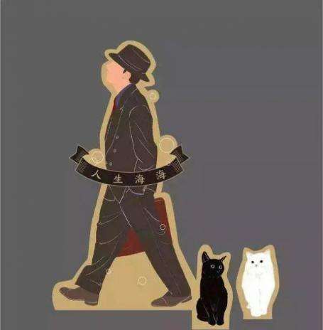 人生海海的大致内容,人生海海里面讲了什么