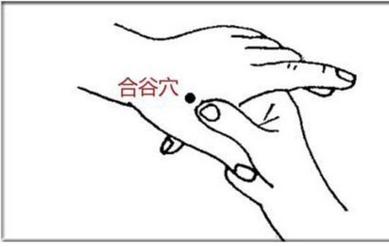 孕妈妈在孕期不要错过这三种汤,孕妈妈不能碰的食物