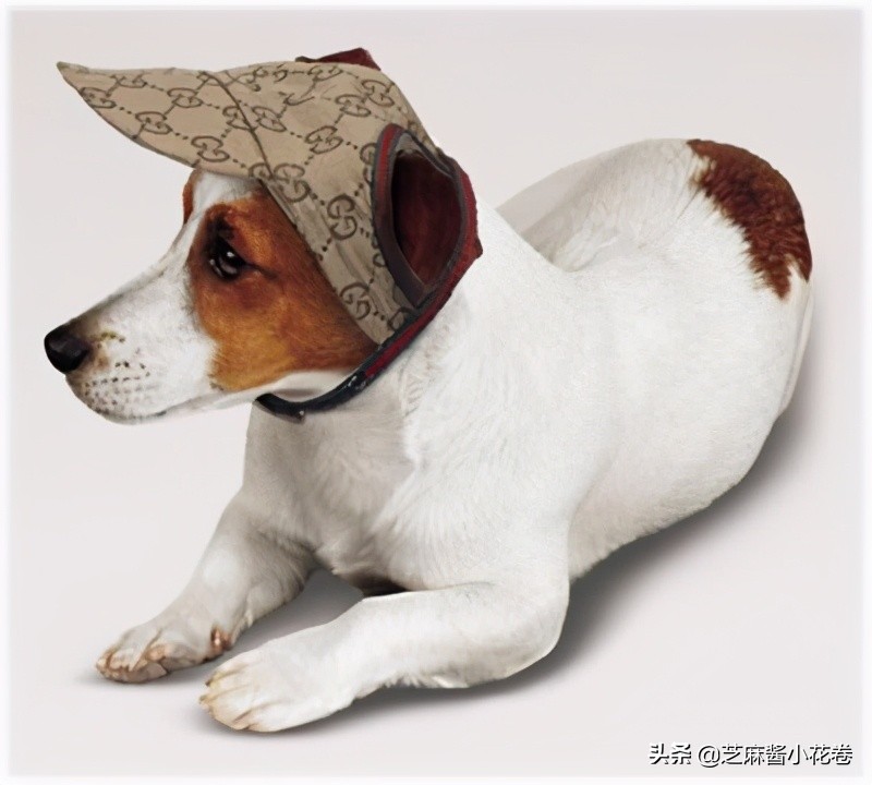 凡尔赛文学其实无处不在,凡尔赛文化盛行