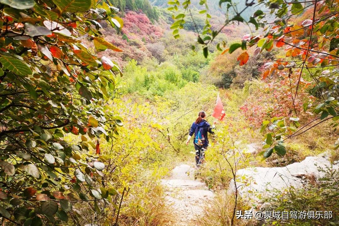 免费的济南周边一日游的绝佳去处,济南游玩免门票景点攻略