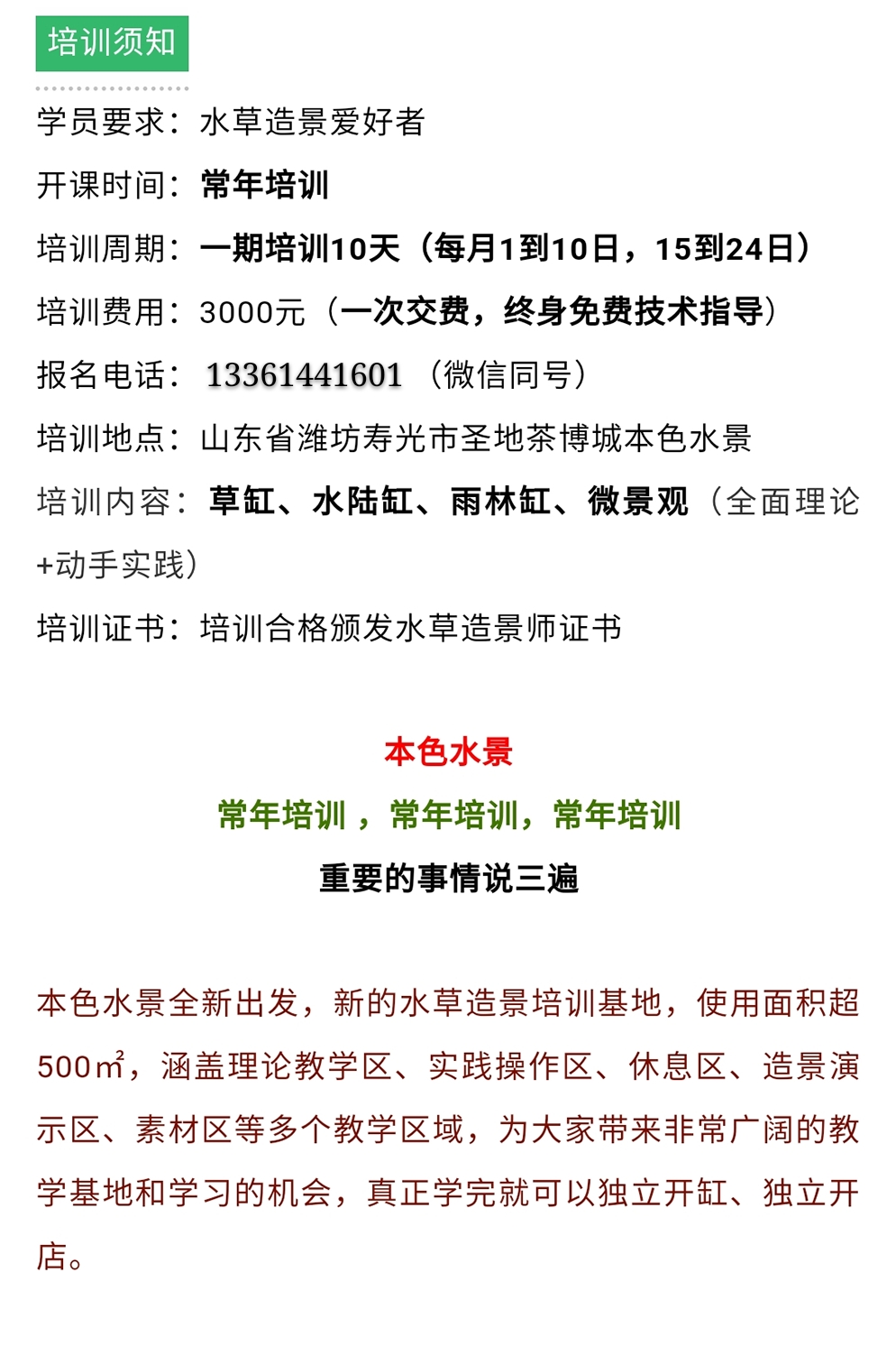 本色水景|教你认识——常见莫斯品种！水草造景学习