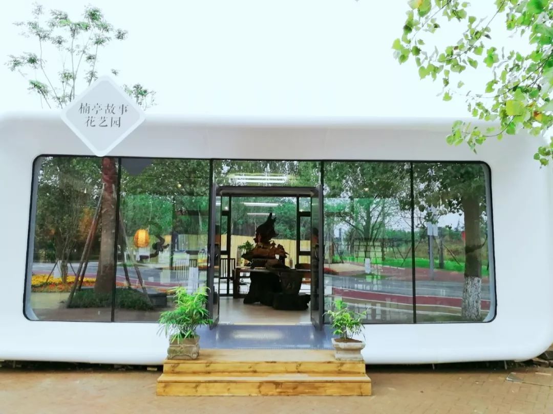 成都周边春季徒步旅游攻略,成都森林徒步旅游攻略