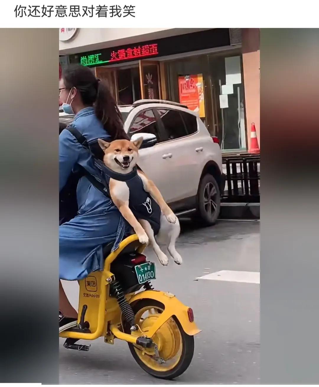 神回复：兄弟们！我在家看电视，咣当一声我家屋顶就穿了，怎么办