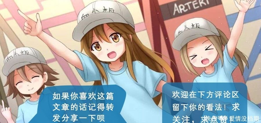 宋格格的红包群,被迫在求生节目开挂我在求生节目里直播主宰海洋