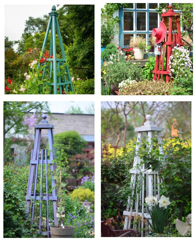 爬藤植物怎么牵引造型,爬藤植物是怎么爬藤的