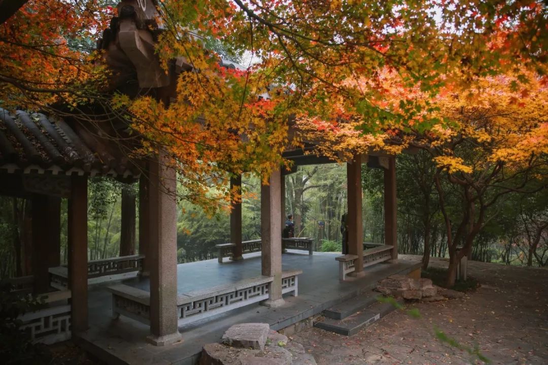 南京小众景点,南京小众花园秘境