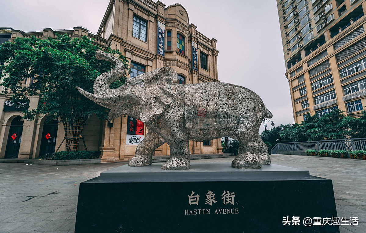 重庆冷门打卡攻略,暑假重庆打卡攻略