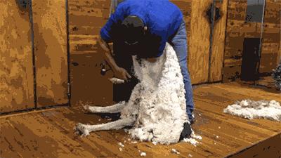 电话卡异地销户怎么销户,手机号可以异地销户吗