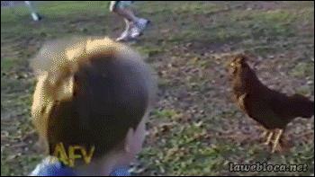 做梦去踢足球比赛搞笑视频,搞笑gif足球动态图