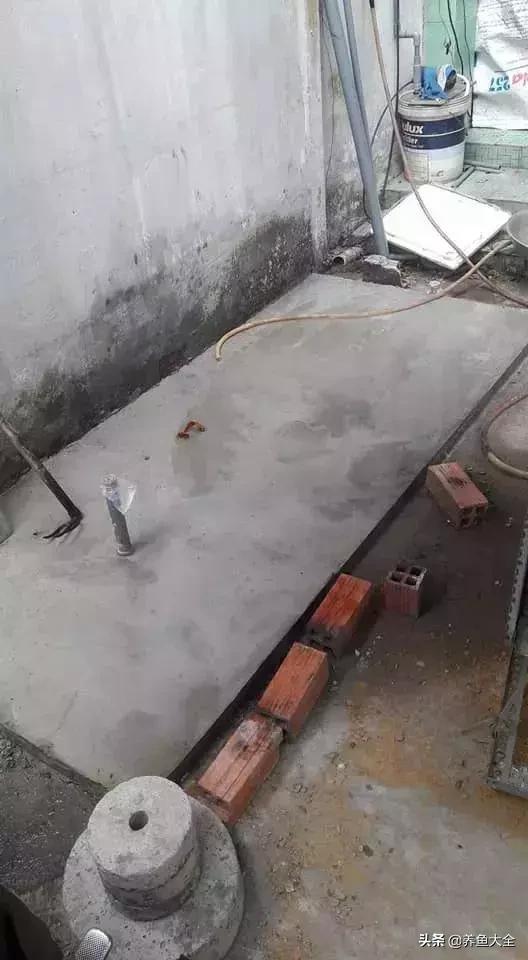 建一个锦鲤池要多少钱,园林锦鲤池建造