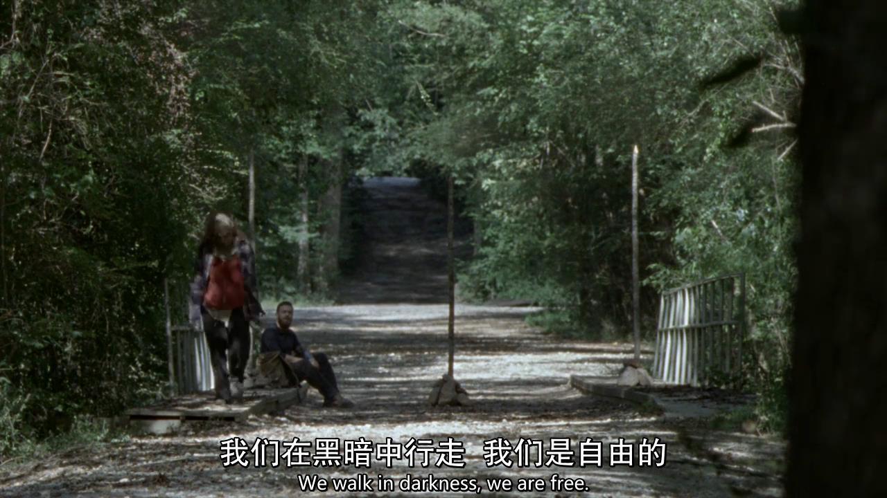 行尸走肉1-7讲解,行尸走肉s11大结局