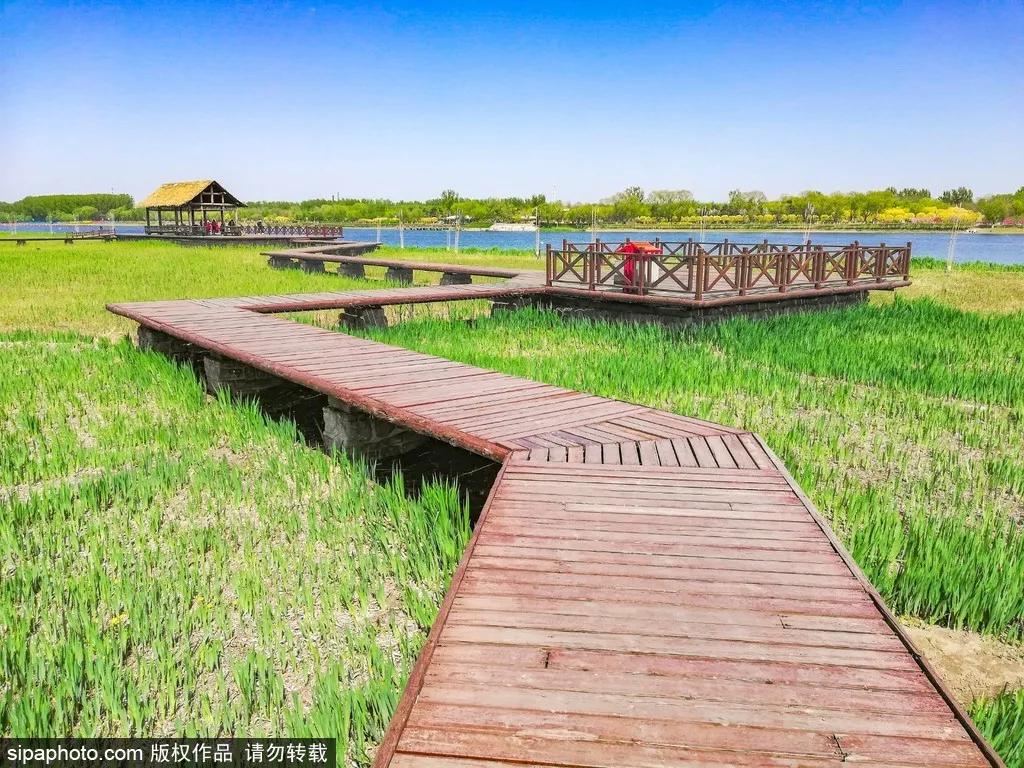 部分免费！北京赏秋“性价比”最高选择都在这儿了！