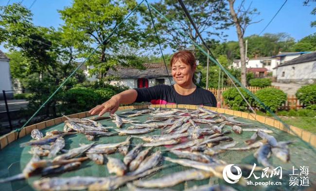 原来你是这样的英语,记忆里的巢湖
