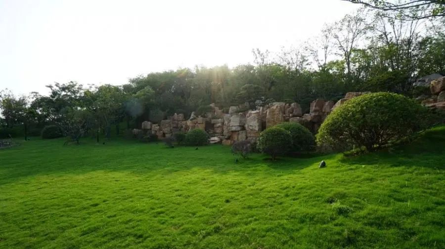 浒墅关板块最新消息,浒墅关镇最新消息