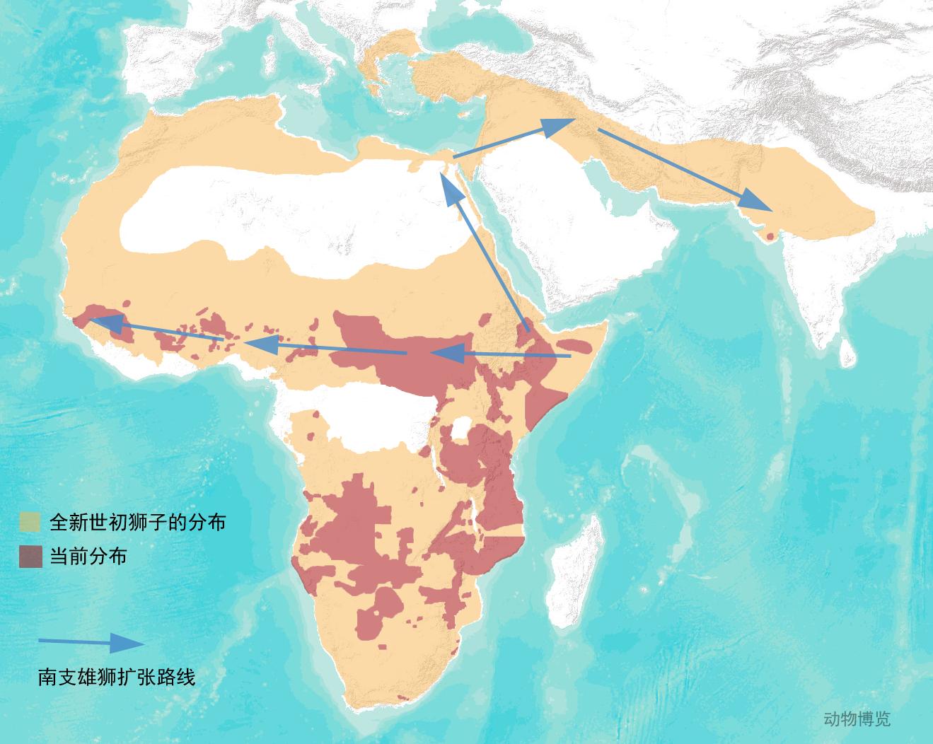 狮族南北战争：南方狮一直在蚕食北方狮的领地