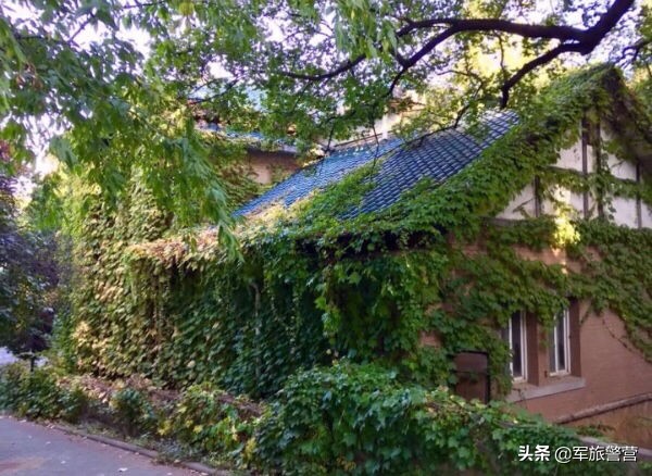 大连市八七疗养院的故事,大连八七疗养院