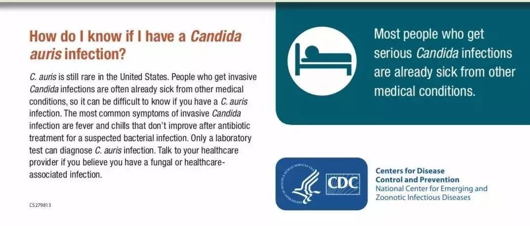 冀连梅|解读“致死率60%的超级真菌”是怎么一回事儿