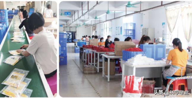 幼儿园科学领域公开课怎么上,幼儿园科学课怎么上最成功