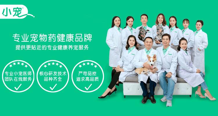 读懂宠物化验单,爱宠影像学检查