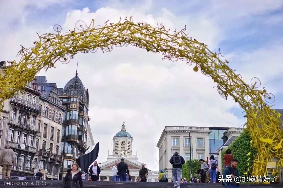 在蓝精灵的故乡邂逅天价纹身*国猪中**，只因我国没有动物保护约束
