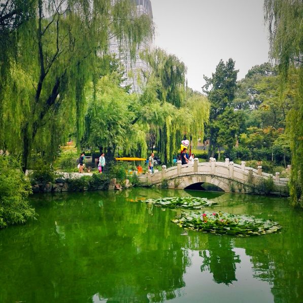 深圳市最长海滨栈道,中国最长海滨栈道