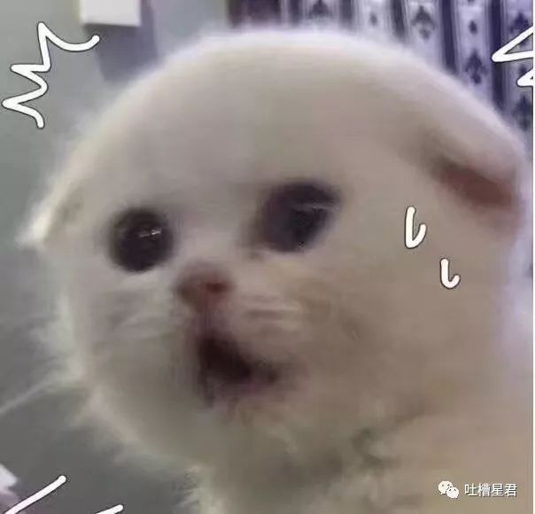 靠谱的香奈儿代购,代购几百块的香奈儿能买到吗