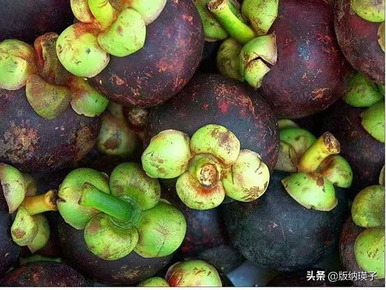 山竹那么好吃你会挑选山竹吗,山竹怎么选又大又多又好吃的