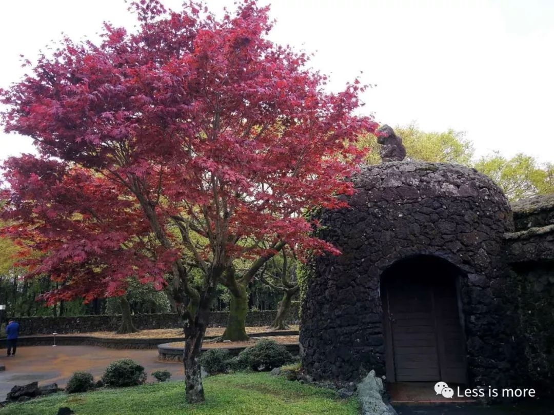 韩国济州岛五天攻略,韩国济州岛旅游详细攻略