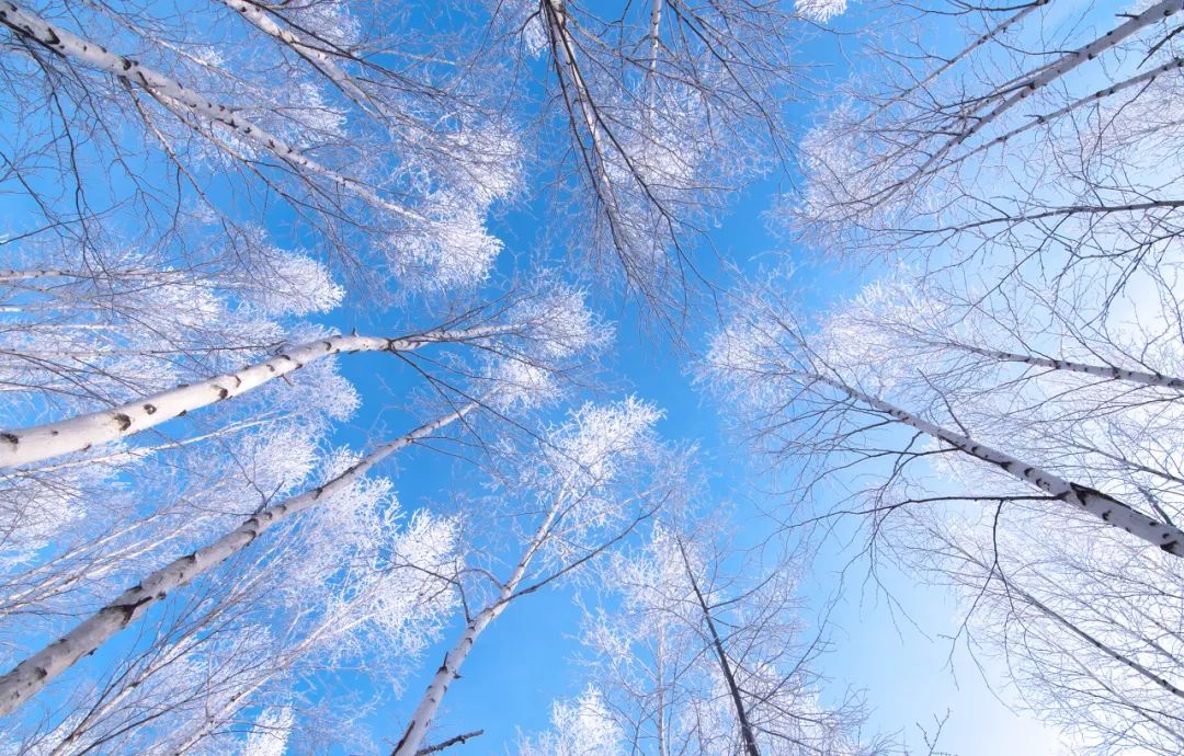 这才是国内最美的地方,这才是中国34省最该去的地方