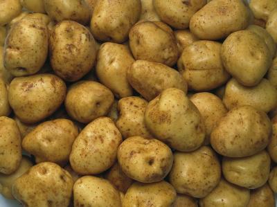 乌兰察布土豆产量世界第一,乌兰察布市马铃薯高质量发展