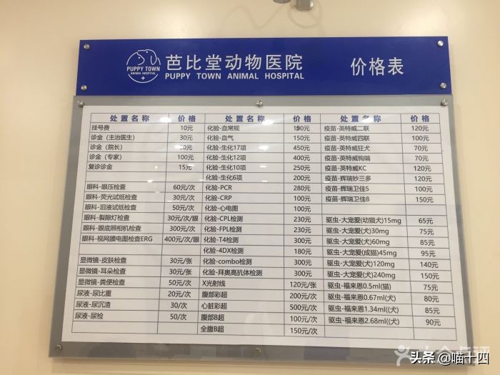 宠物医院成本及利润,宠物医院花的钱怎么报销