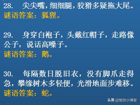 一次有趣的猜字谜游戏,20个猜字谜游戏