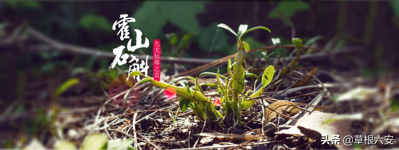 霍山一等奖名单,霍山县在全省排名多少位