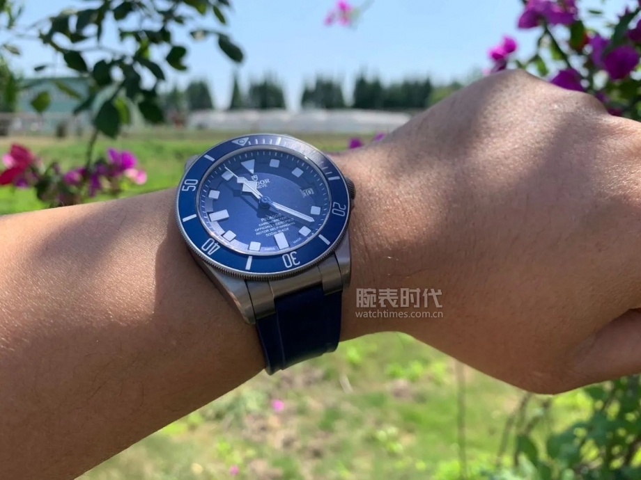 网友晒上千万的手表,网友晒1300手表