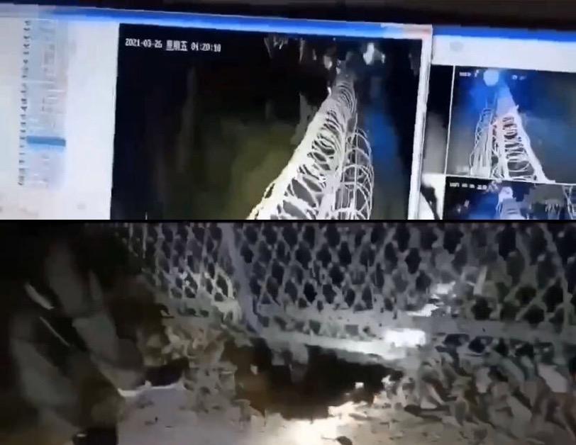 缅甸发生爆炸伤亡情况,缅甸西部爆炸伤亡情况