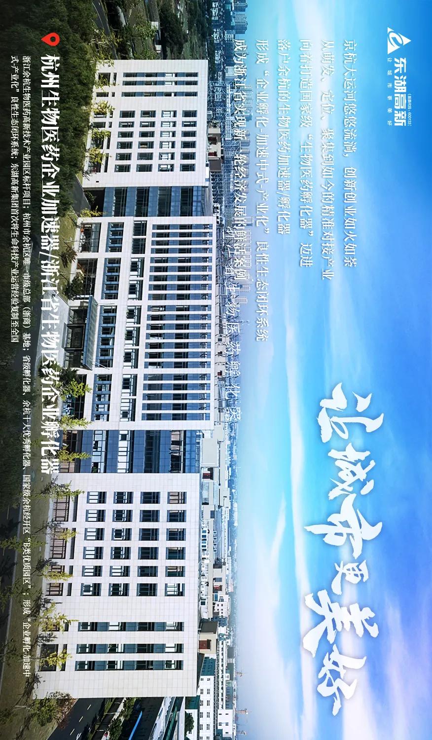 东湖高新集团的发展历程,图鉴图鉴