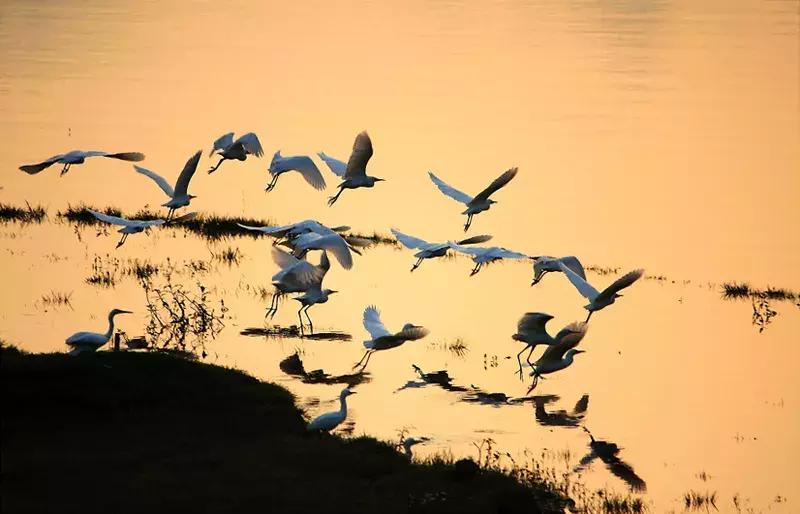 探秘广西巴马长寿之旅,广西巴马长寿探秘之旅