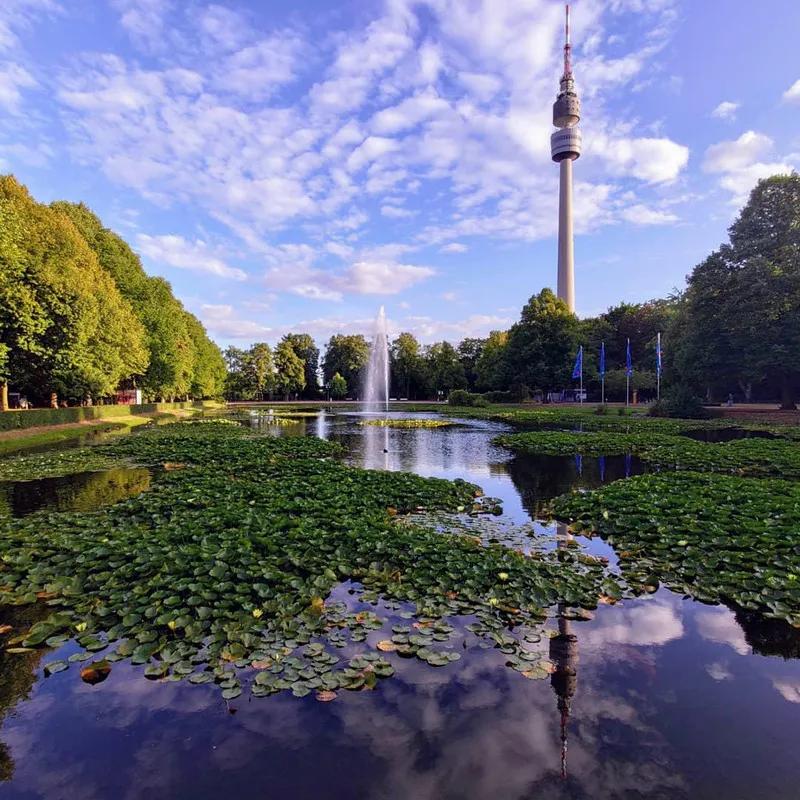 多特蒙德你永远不会独行现场版,多特蒙德为什么也唱永不独行