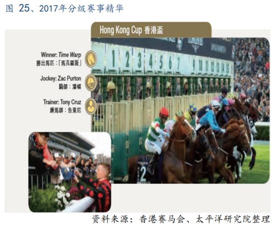 体育行业报告,体育赛马项目介绍