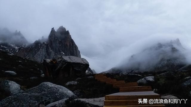 年保玉则现在开放了吗,年保玉则为啥被封