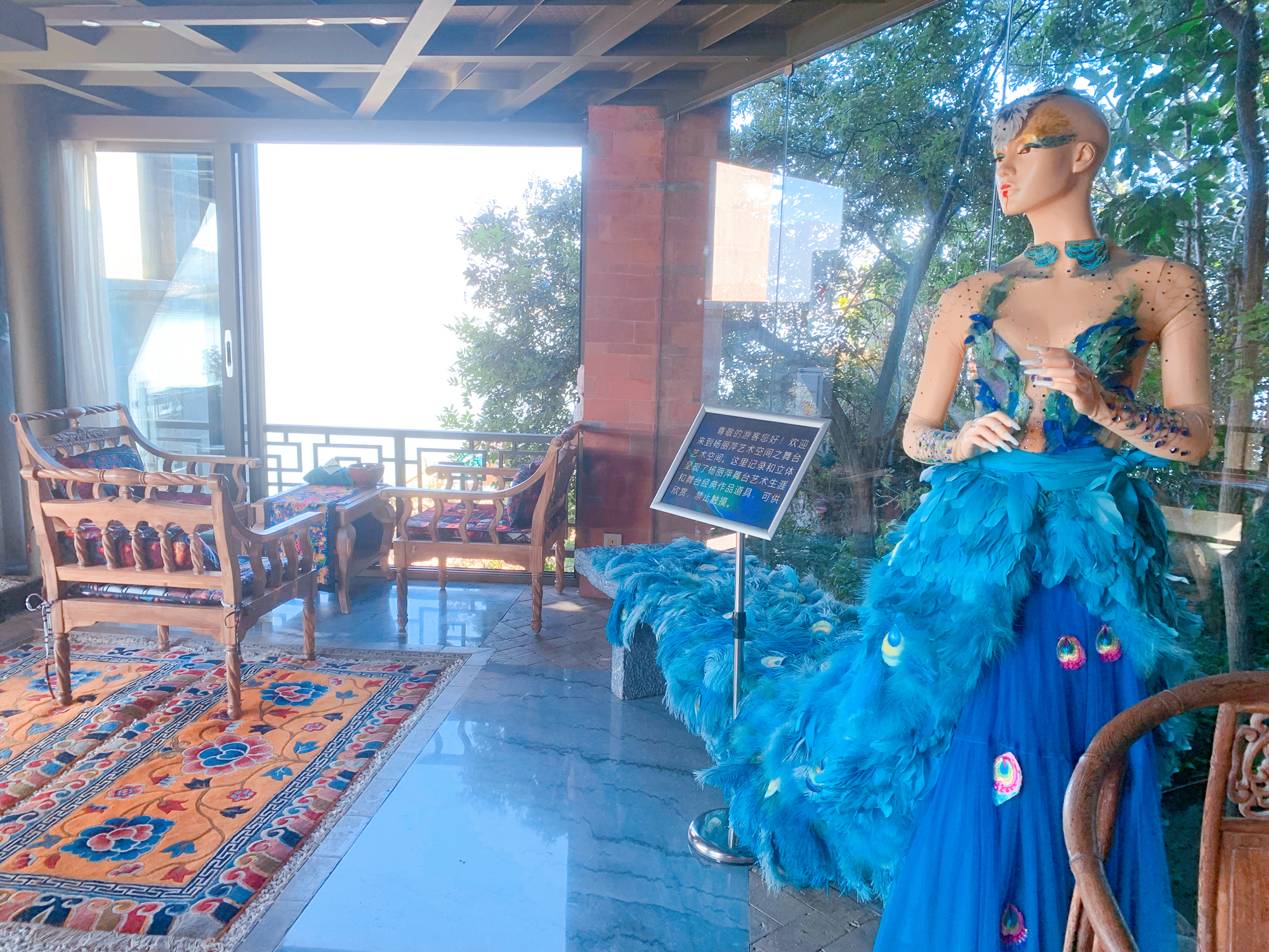 杨丽萍投资多少钱,杨丽萍有多少钱