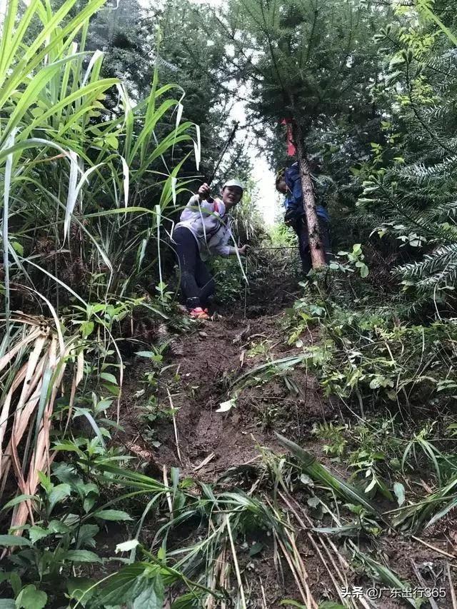 广西桂林汽车场地越野赛,2017桂林越野锦标赛