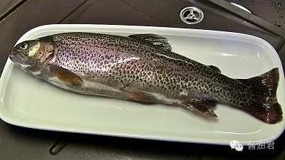 美国超市有哪些鱼,英国超市一般有什么鱼