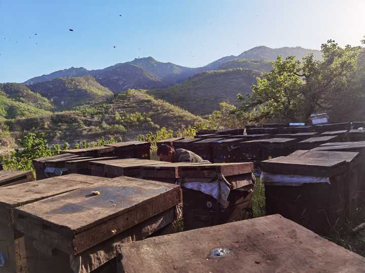 什么蜂蜜好，想买点给父母吃？