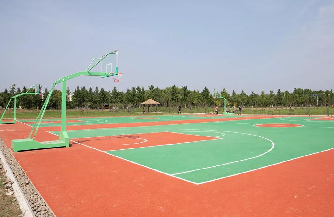 无锡人常去的这个公园焕然一新,无锡10大公园