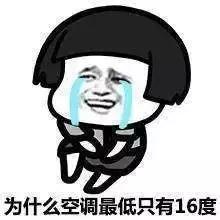 谁说冬天只有严寒,谁说大西北的荒漠寸草不生